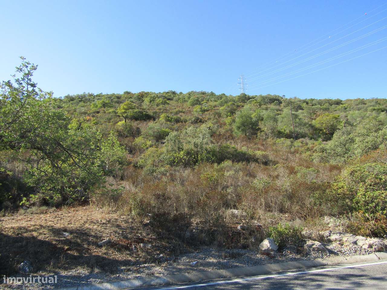 Terreno Rústico em São Brás de Alportel - Grande imagem: 2/6