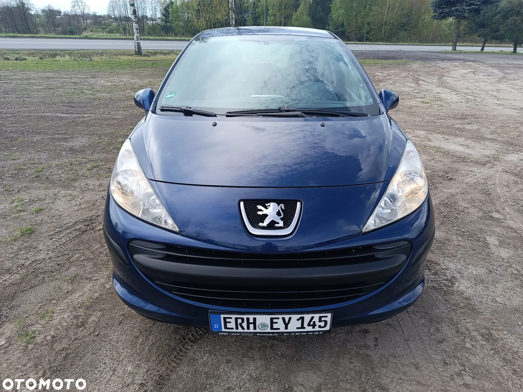 Peugeot 207 - 8