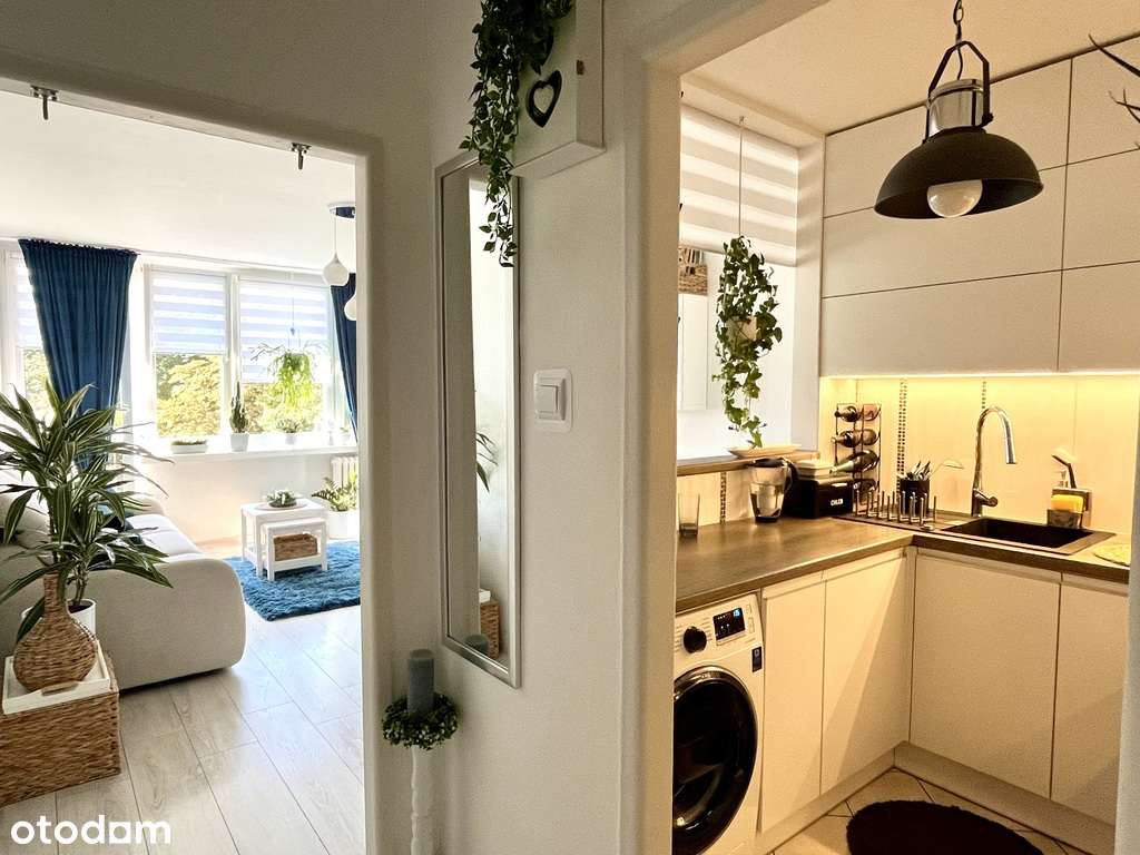 Komfortowe Dwupokojowe Mieszkanie - Pełny obrazek: 5/11