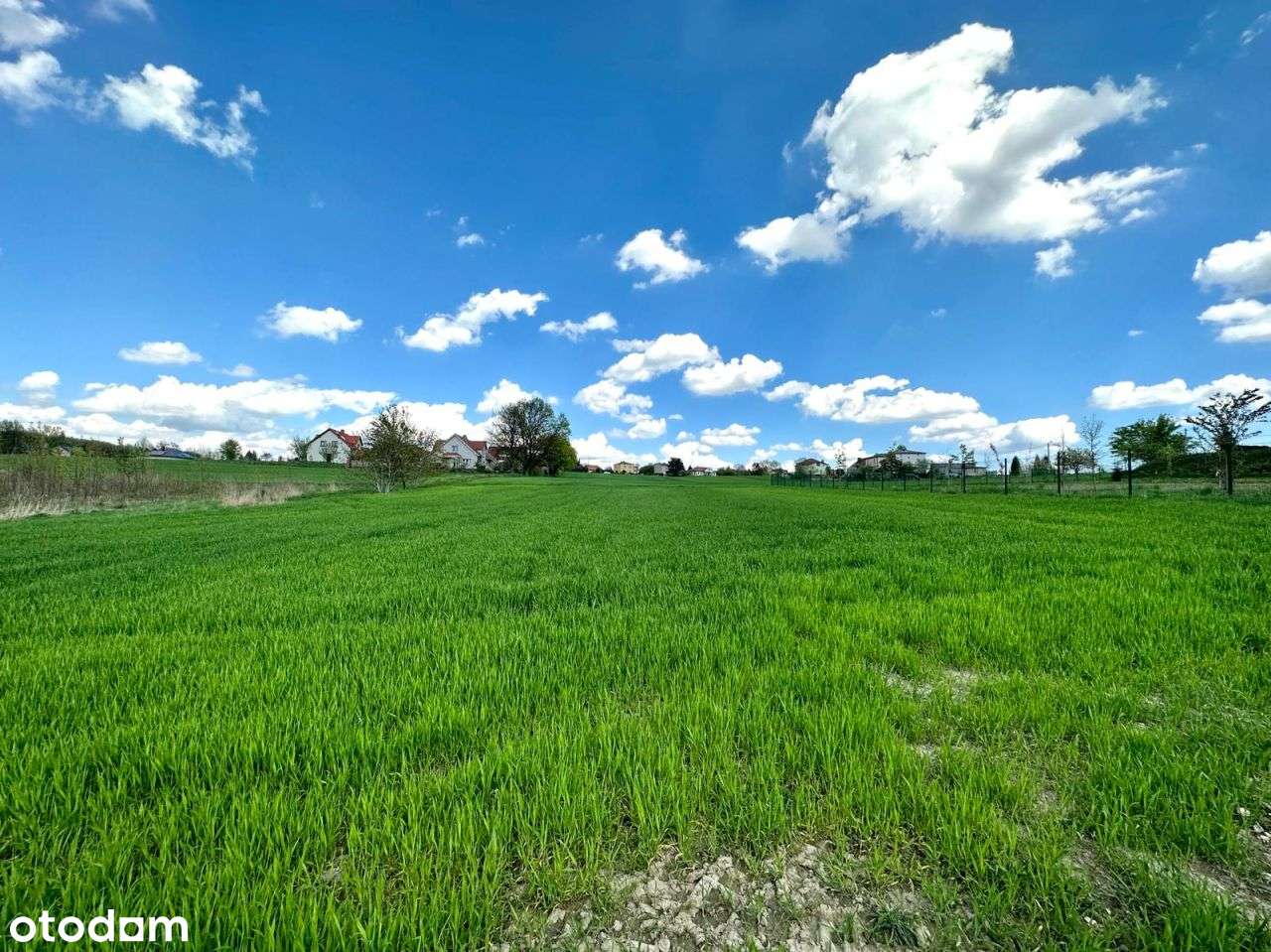 Działka pod lasem | doprowadzony wodociąg-5