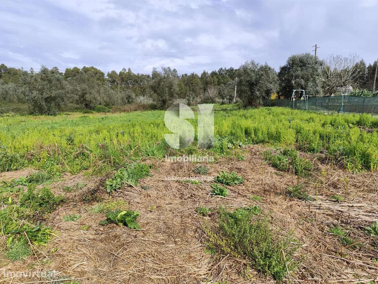 Terreno em Mealhada - Grande imagem: 5/10