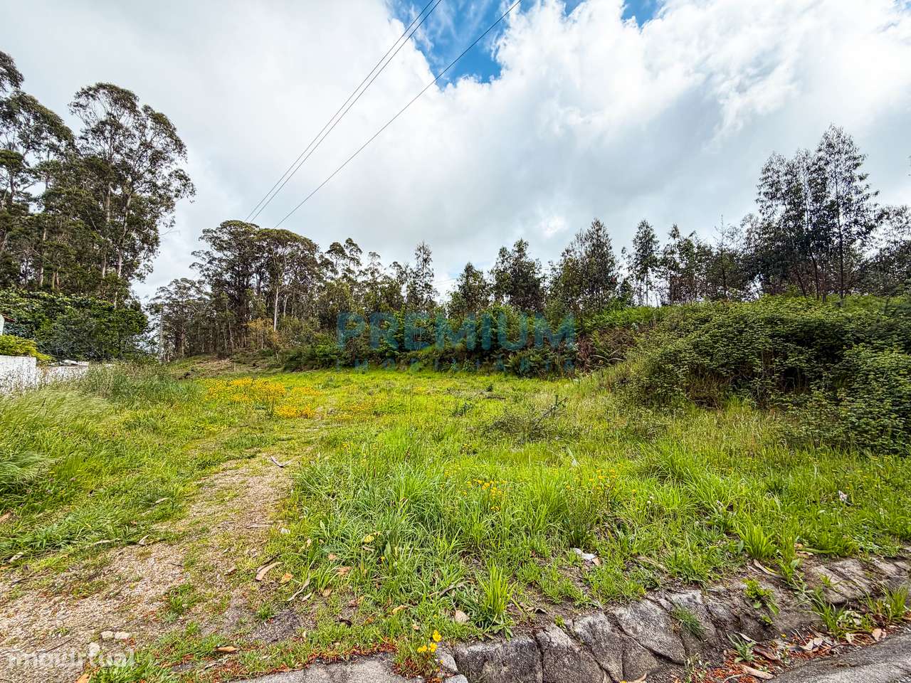 Terreno com 8.630 m² para Venda-10