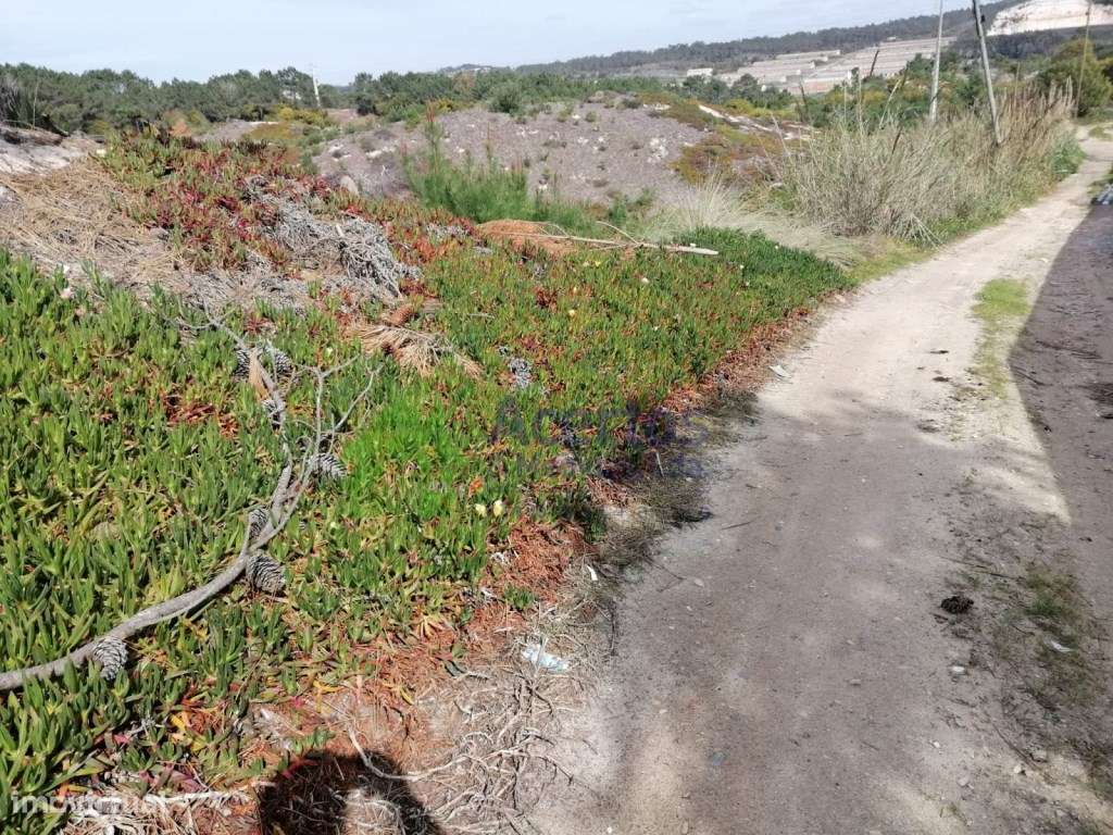 TERRENO RÚSTICO | BÉLTICO - Grande imagem: 5/6
