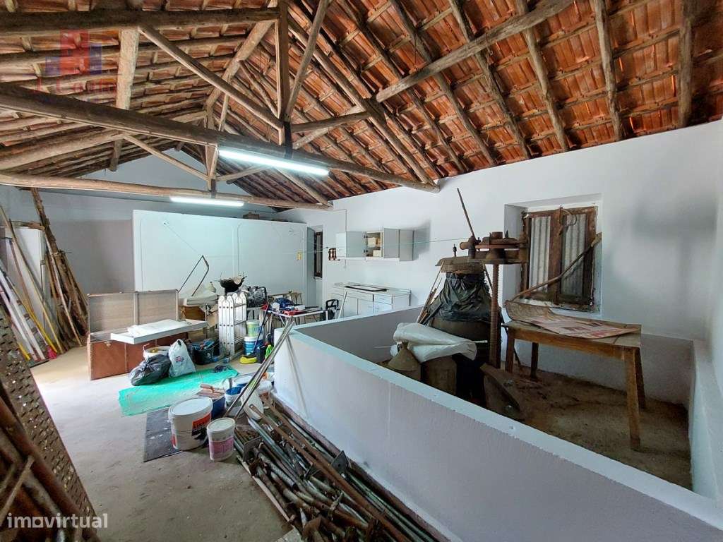 Quintinha com 14.000m2 de terreno com mina de água e árvores de fruto.-32