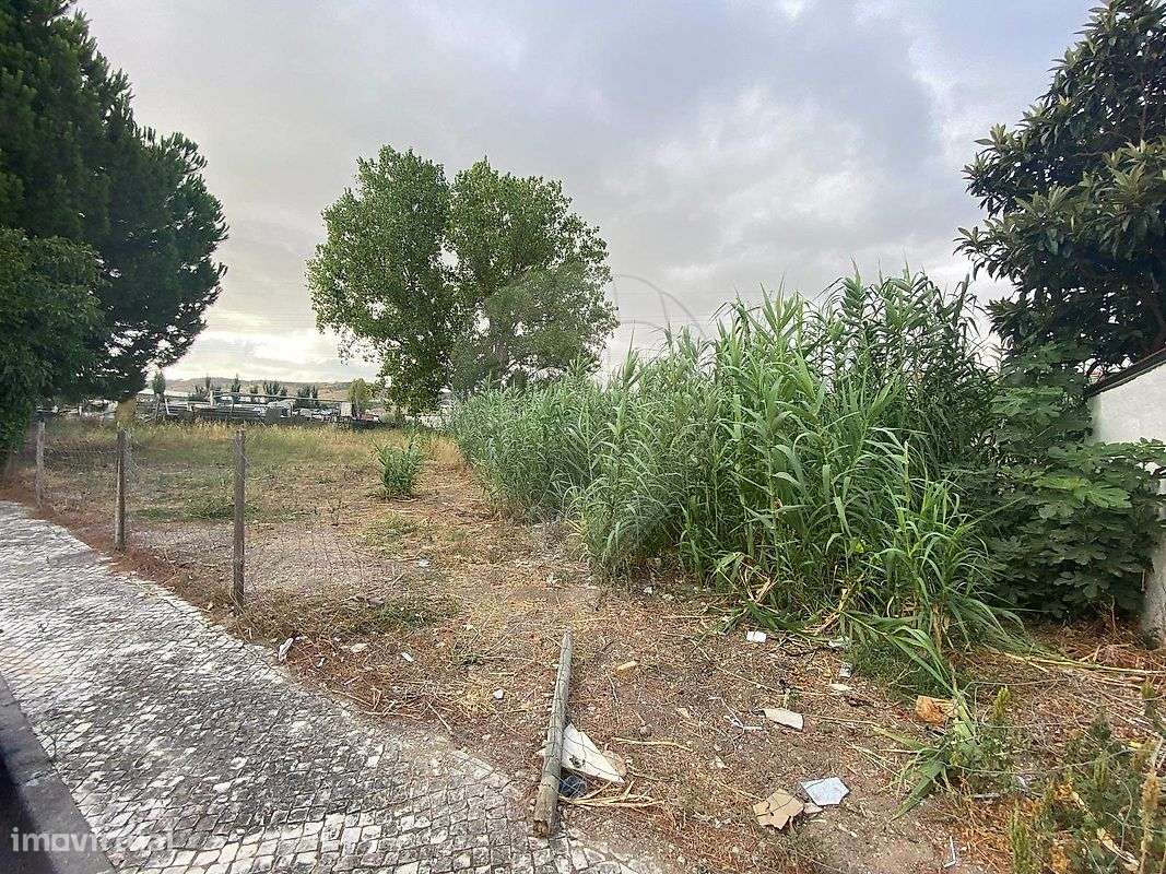 Terreno  para venda - Grande imagem: 4/4