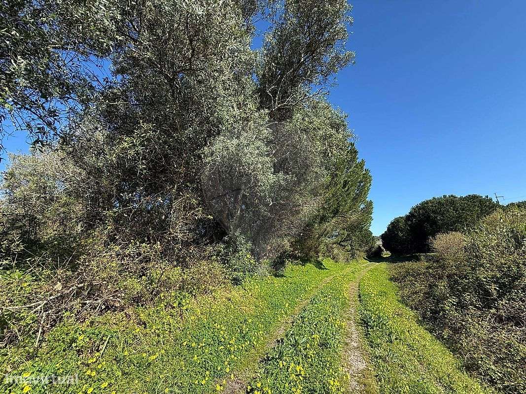 Terreno  para venda-10