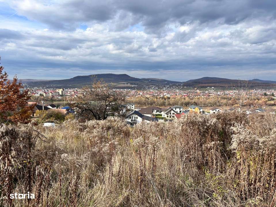 Teren extravilan-Valea Ghinzi-500mp- 2500 euro ar-3