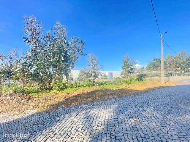 Terreno com 751m2, localizado próximo do Centro de Canelas! - Grande imagem: 4/12