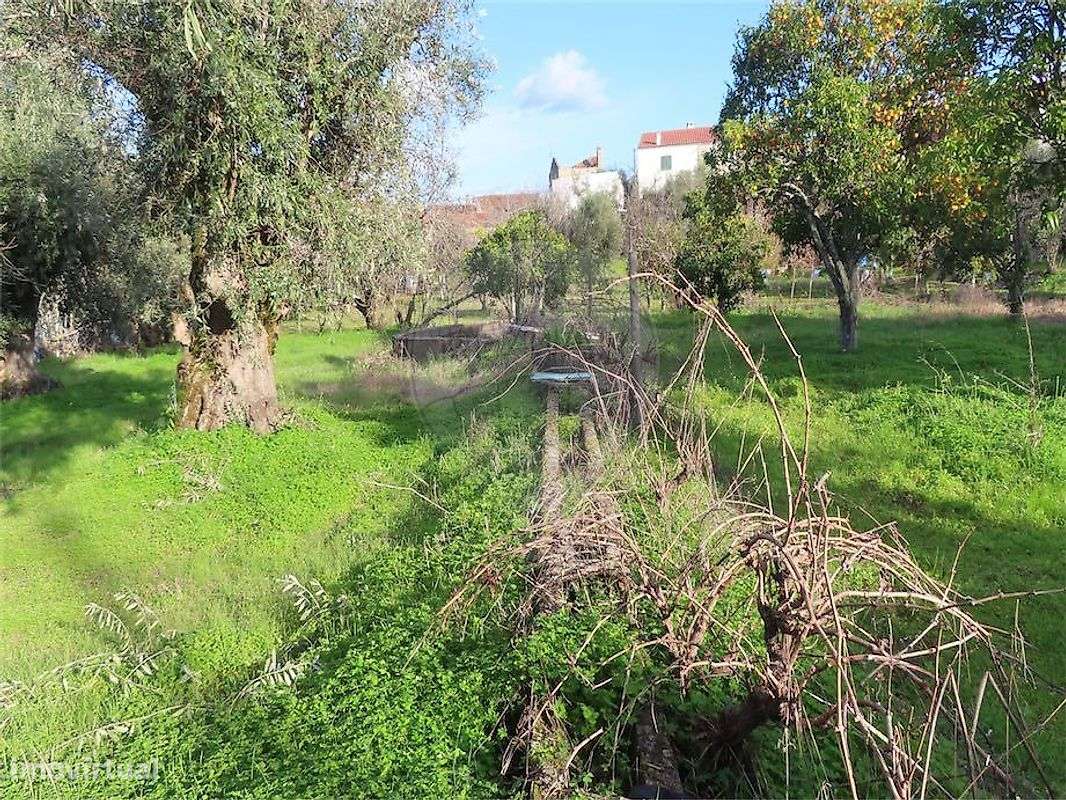 Quinta  para venda - Grande imagem: 5/32