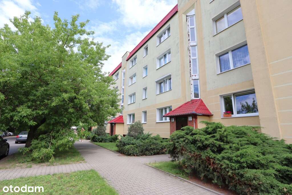 4 pok. blisko lasu, 2 piwnice, ul. Wagi - Pełny obrazek: 2/19