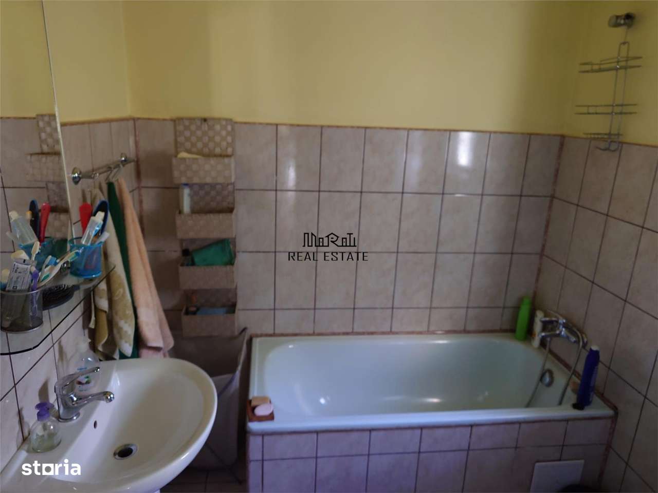 Casa cu aer nobil in Baia de Cris-6