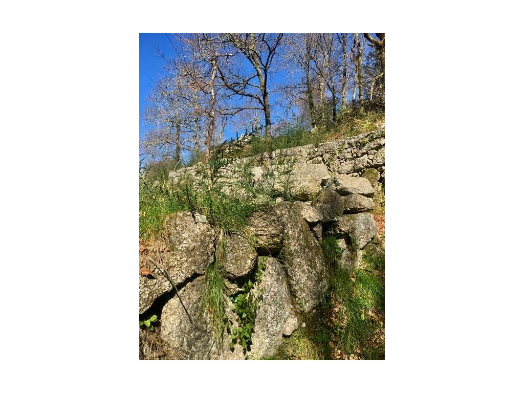 Moinhos Para Recuperar OPORTUNIDADE-16