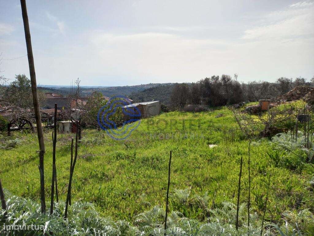Terreno com Ruína próximo da Cidade de Tomar no Centro de Portugal - Grande imagem: 2/40