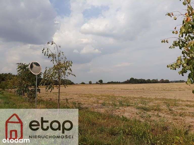 Zborowo nad jeziorem działka rezydencjonalna-5