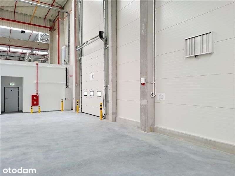 Magazyn wysokiego składowania h=12m/2700m2 - Pełny obrazek: 2/2