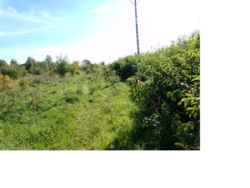 Działka o pow. 1001 m2 w Ługwałdzie ul. Bukszpanowa - Pełny obrazek: 2/5