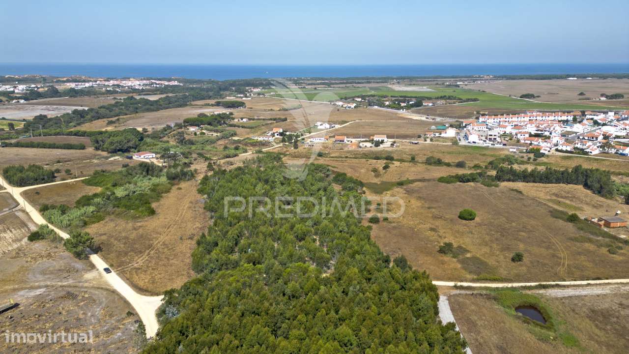 Quinta com 4,9000 ha e ruina de 47,3 m2 em Longueira - Grande imagem: 3/22