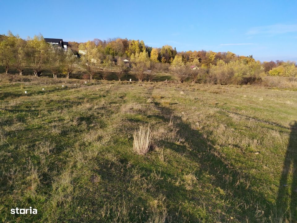 Proprietar Teren intravilan DE VÂNZARE (REDUCERE DE PRET) Campina-PH