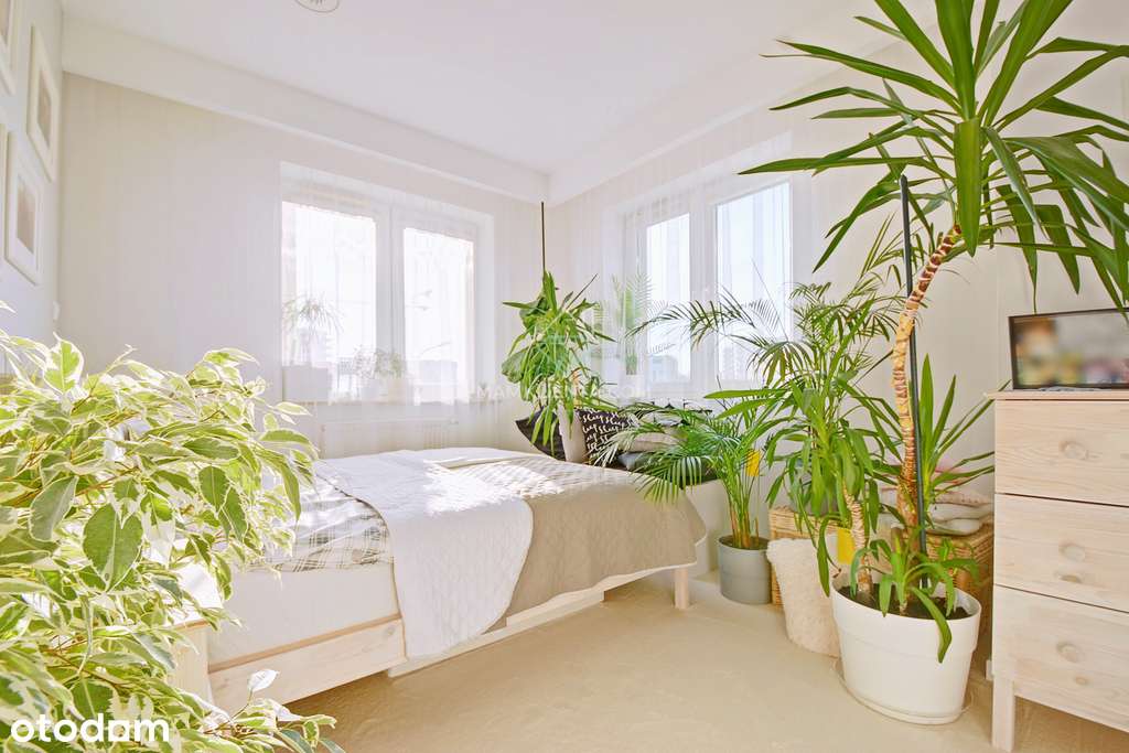 Tylko u nas! 2 pokoje Projektant do wejścia loggia-10