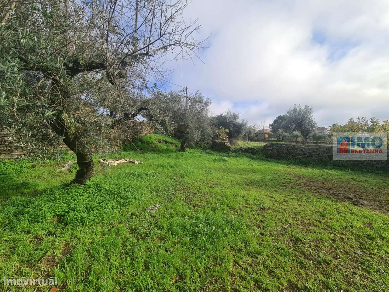 Quintinha no Retaxo - Grande imagem: 5/8