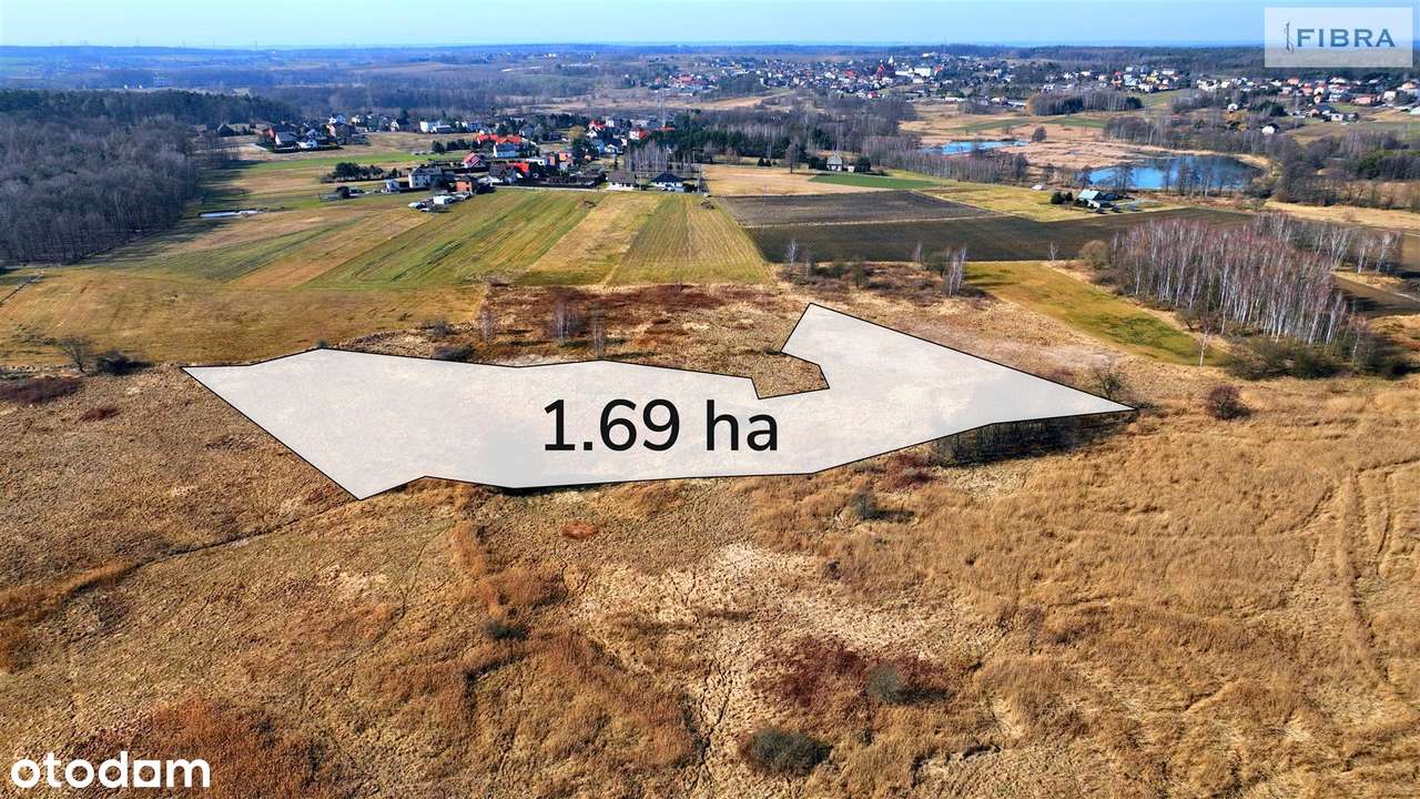 Urodzajna ziemia - mady brunatne. - Pełny obrazek: 1/20