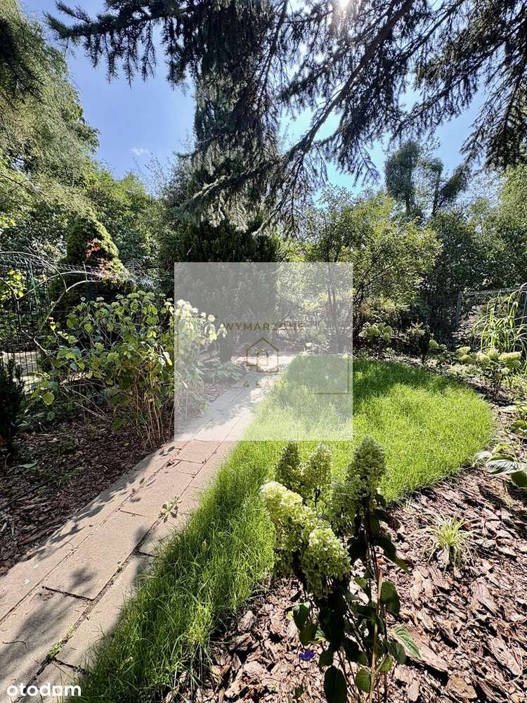 Przestronne, 2 pokoje, taras, ogród - Pełny obrazek: 5/15