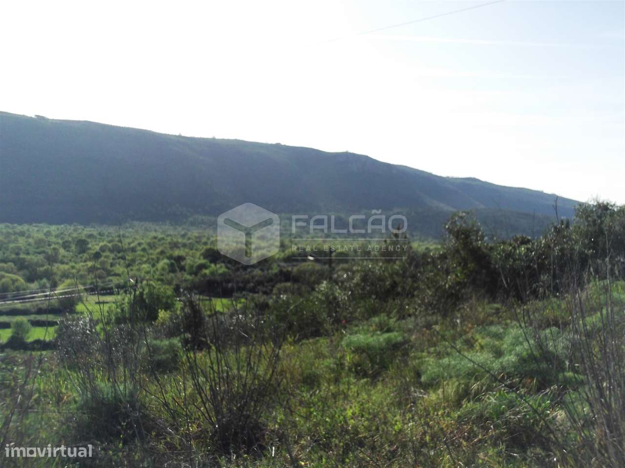 Terreno  Venda em Mira de Aire,Porto de Mós - Grande imagem: 5/12