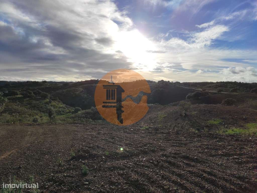 TERRENO COM 55.800 M2 COM POSSIBILIDADE DE CONSTRUÇÃO - ALCARIAS GR... - Grande imagem: 5/28