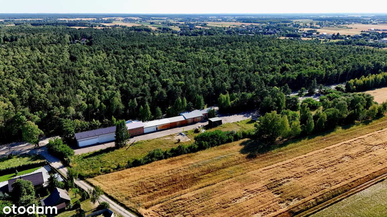 Zjazd z S19, Bydynki 1480 m2 działka 1,41 ha - Pełny obrazek: 5/20