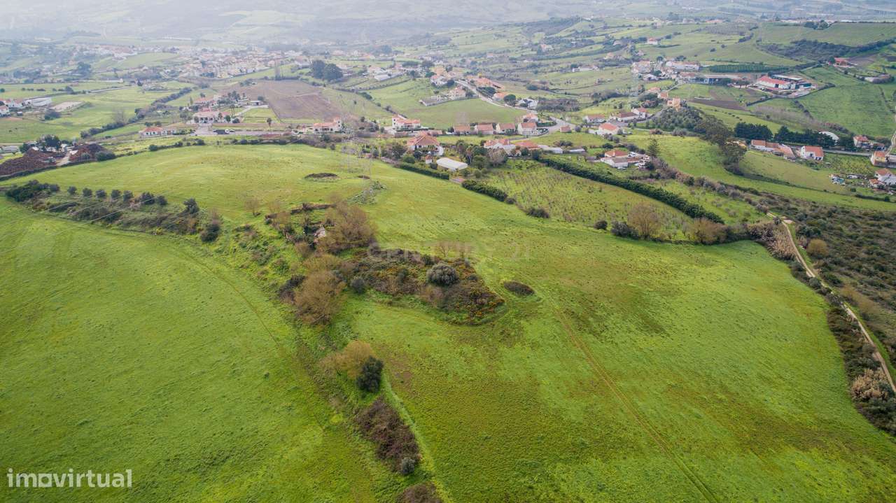 Quinta - 25 hectares-8