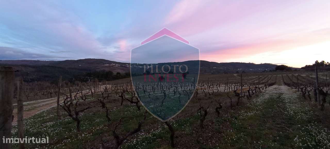 Quinta  Venda em Sezures,Penalva do Castelo - Grande imagem: 5/18