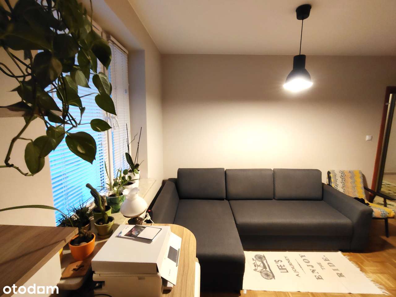 2 pokoje. 50 m2. Rajska Jabłoń. Jabłonna. 2006 rok. - Pełny obrazek: 5/17