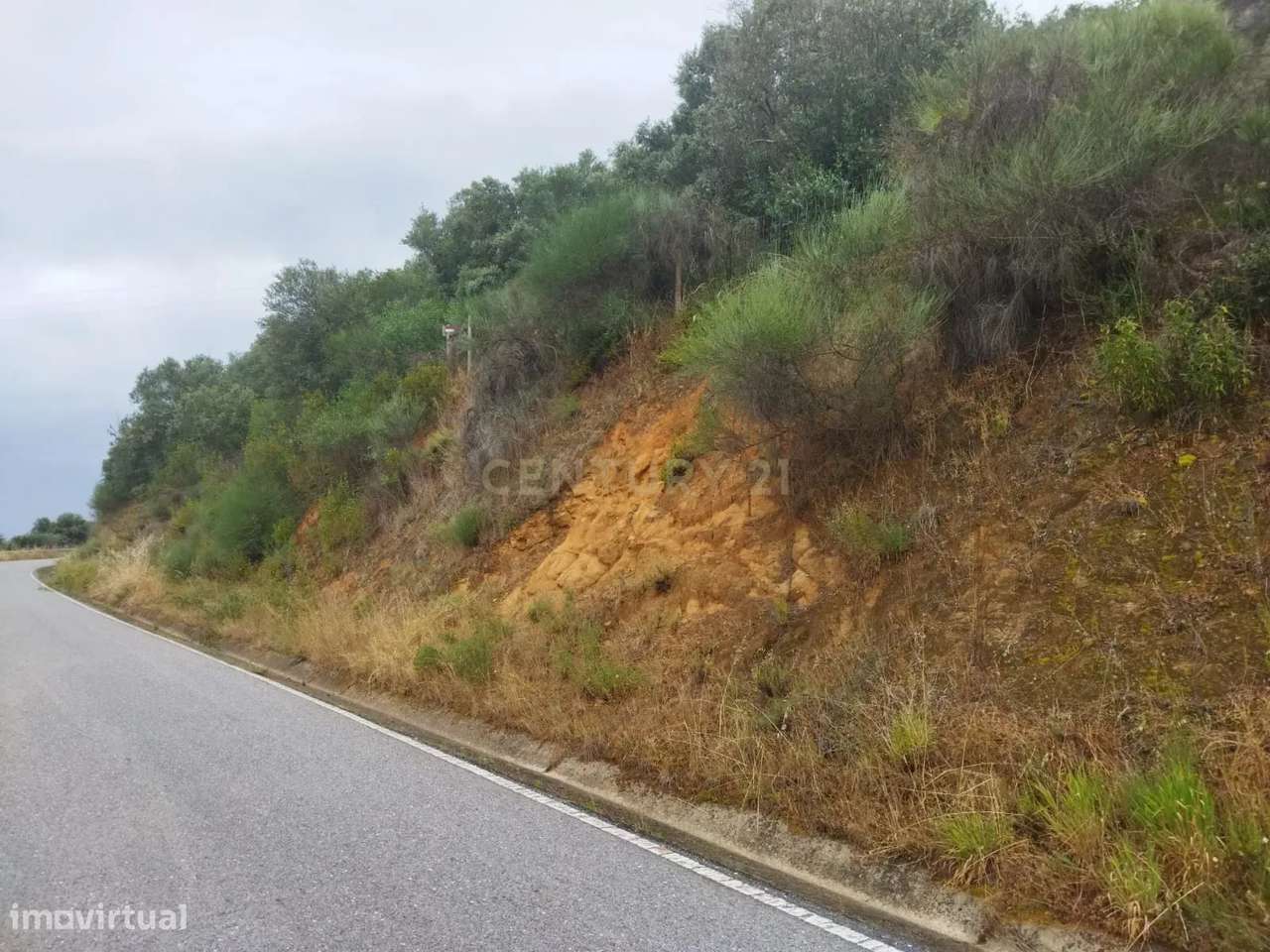 Terreno Rústico | Lousa, Castelo Branco - Grande imagem: 3/8