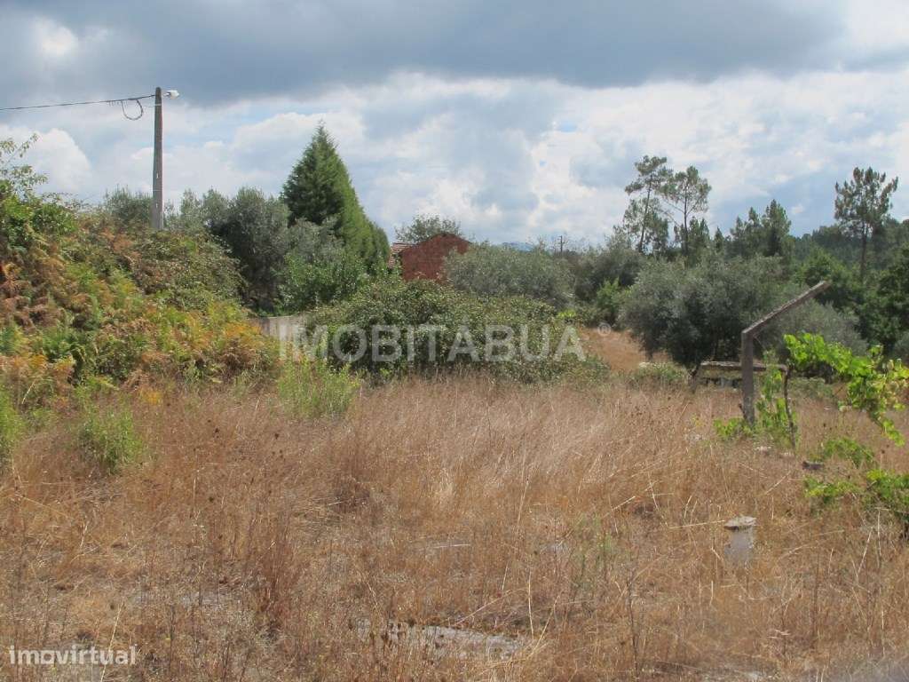 Terreno com casa de arrecadação em Castanheira - Grande imagem: 4/5