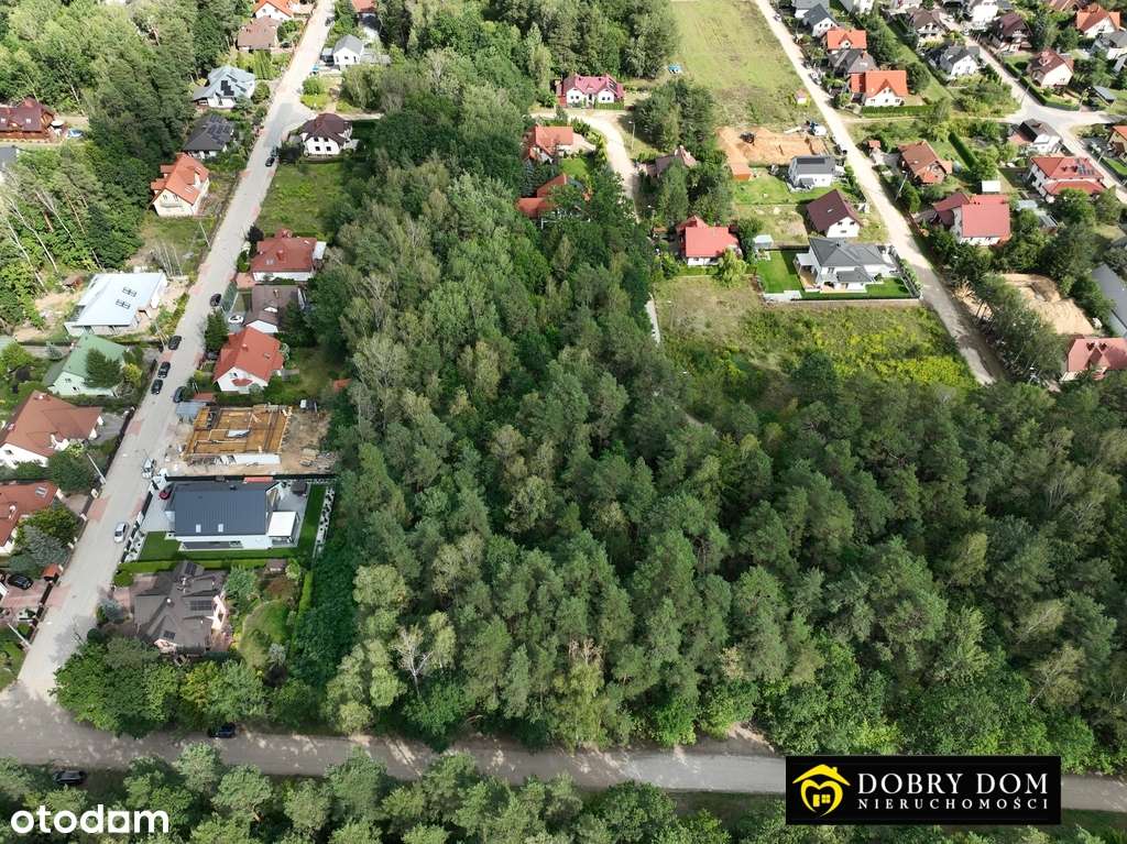 Działka w lesie z możliwością  zabudowy - Pełny obrazek: 3/5