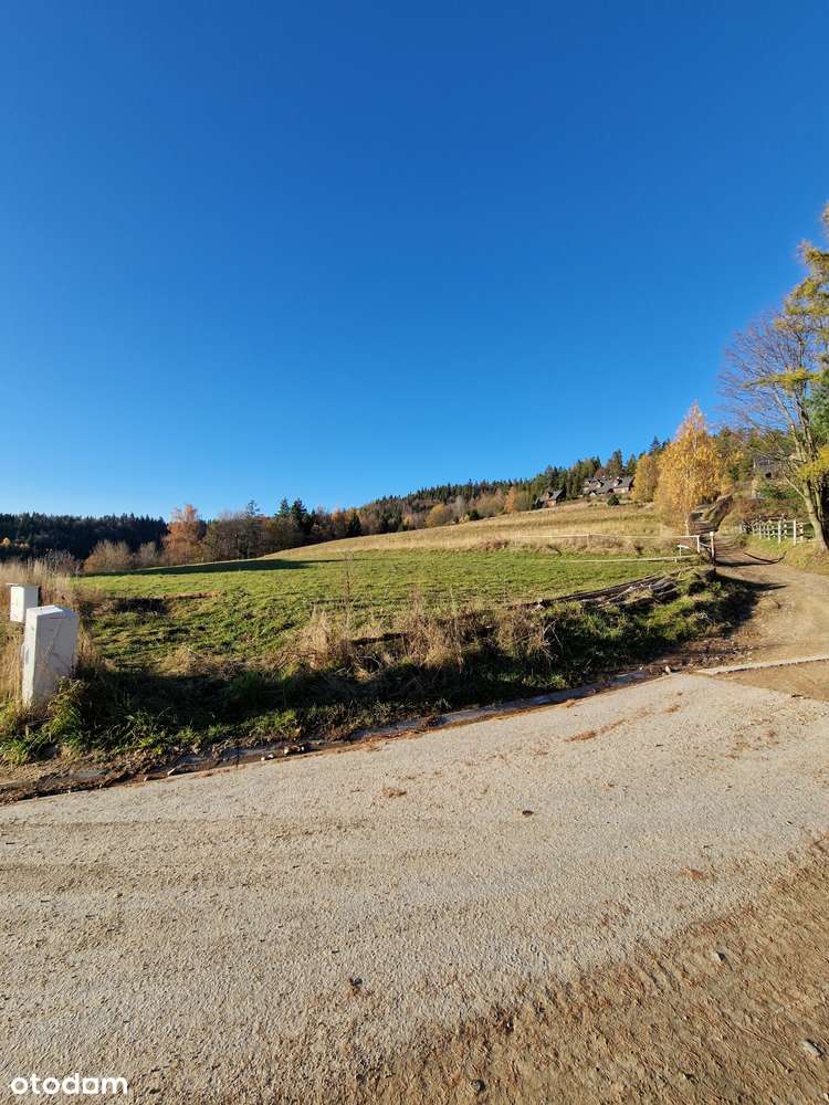 Widokowa działka budowlana z potencjałem-1
