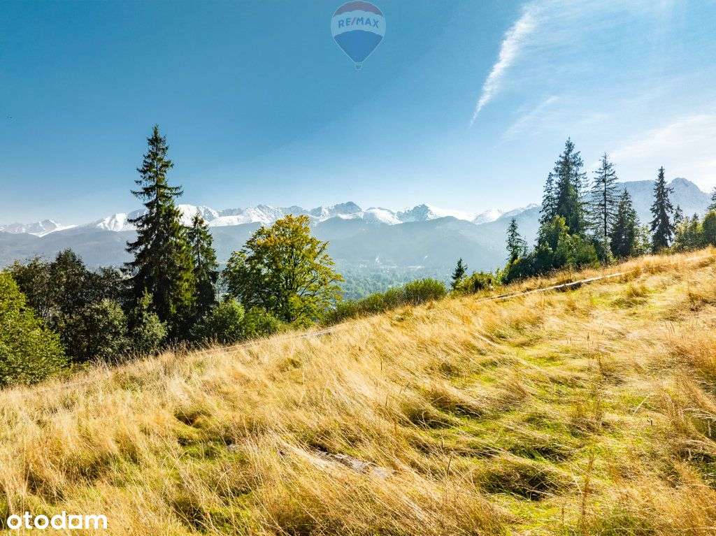 Działka rolna ul. Kotelnica Zakopane - Pełny obrazek: 2/11