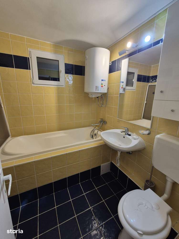 Teiul Doamnei ap 3 camere cu boiler /  pet-friendly / Contract Anaf - Imagine principală: 4/7