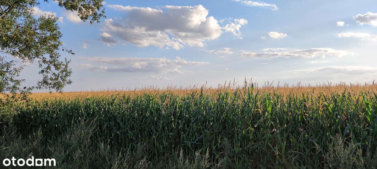Komorniki gmina, Chomęcice, działka w cichym i spokojnym miejscu-13