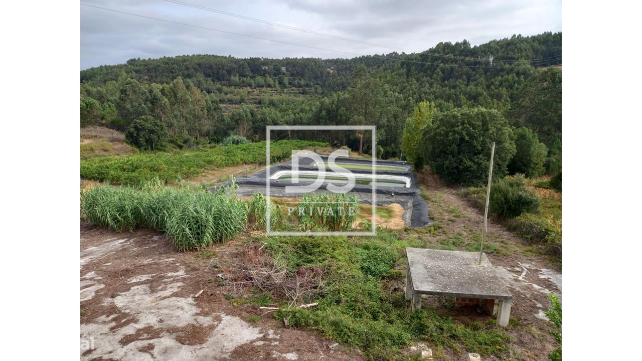 Espaçoso Edifício Industrial com Terreno Misto e Potencial de Expansão - Grande imagem: 28/28