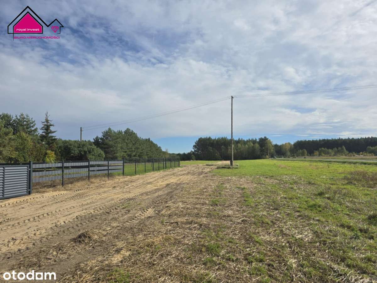 Działka rekreacyjna przy lesie Adamowo gm. Kleczew-5