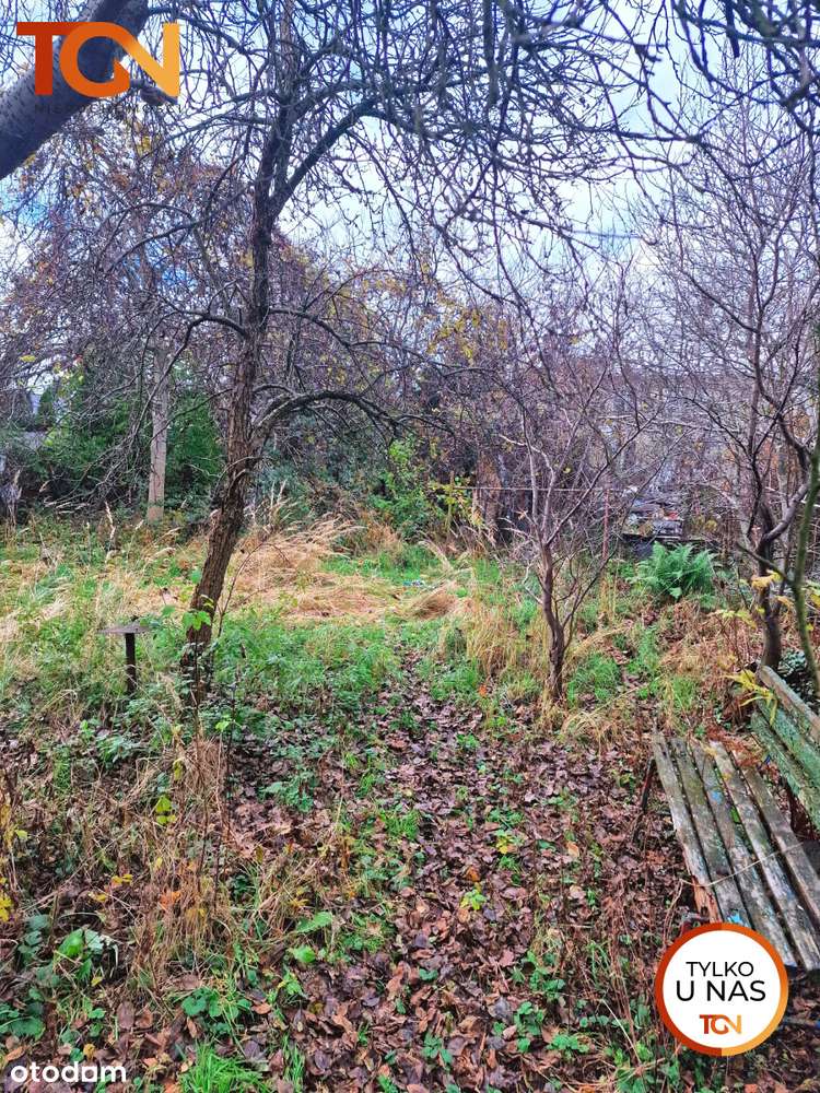 Dom z cegły w zielonej okilicy-Arturówek/ Rogi - Pełny obrazek: 3/12