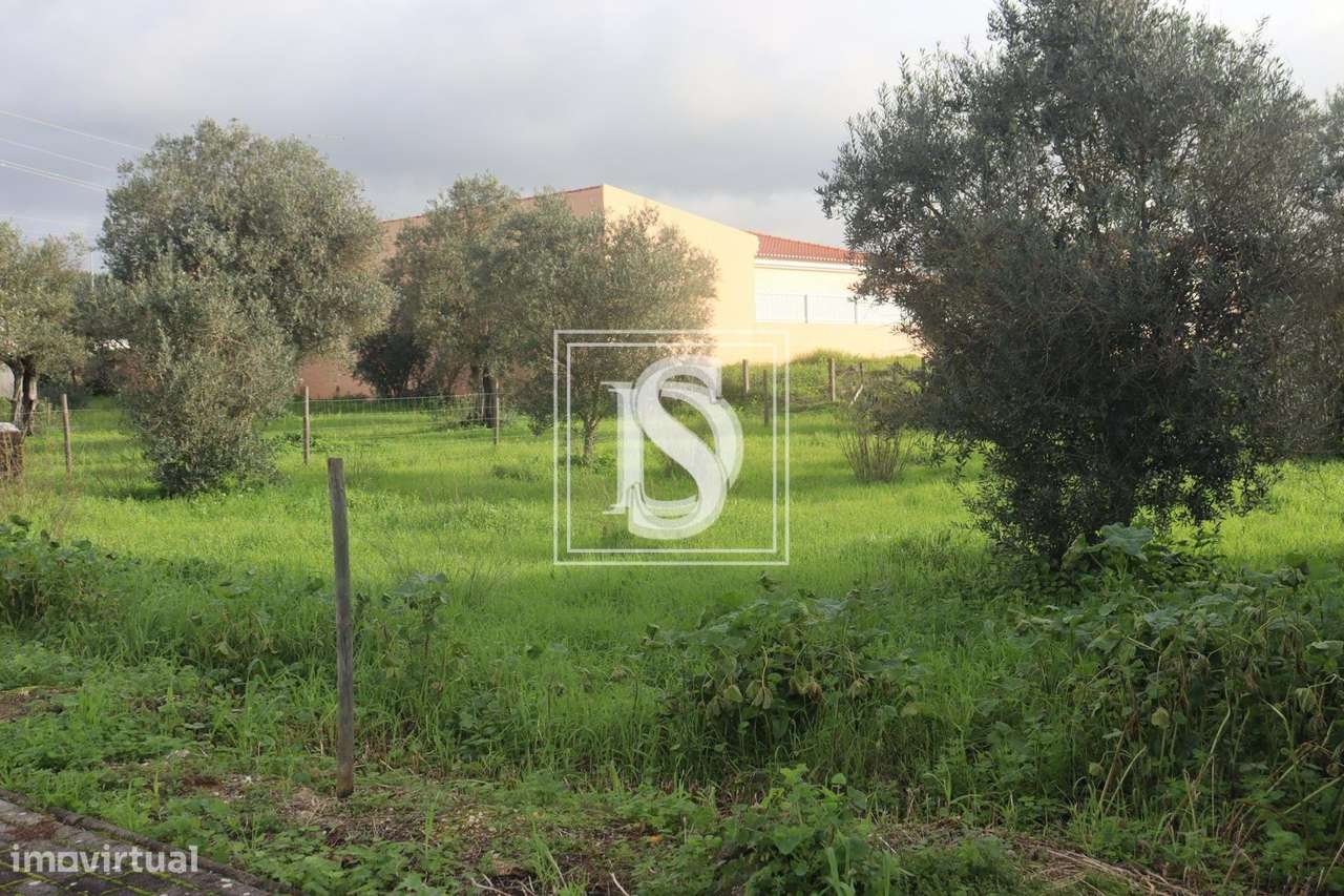 Lote para Construção - Montalvo - Grande imagem: 4/7