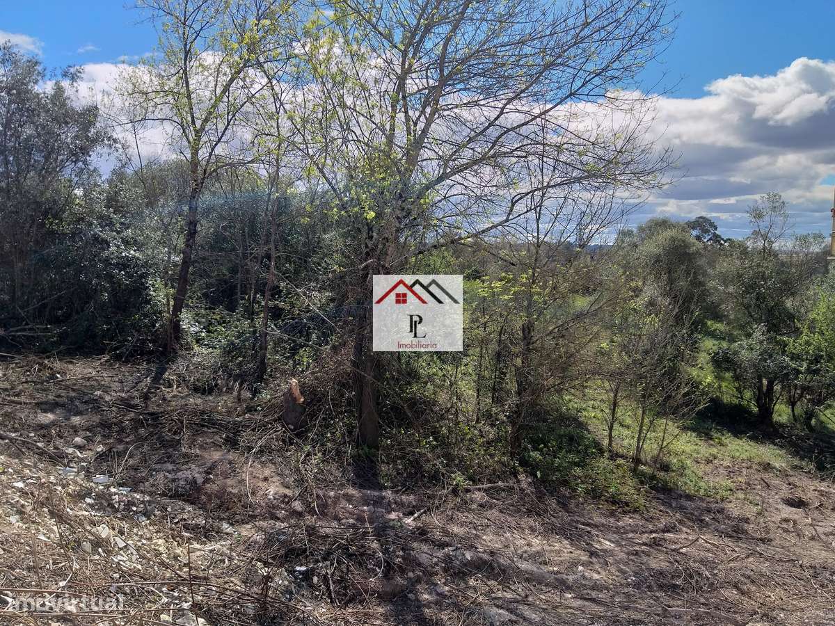 Terrenos para construção de Armazéns ou Unidade Fabril.-7