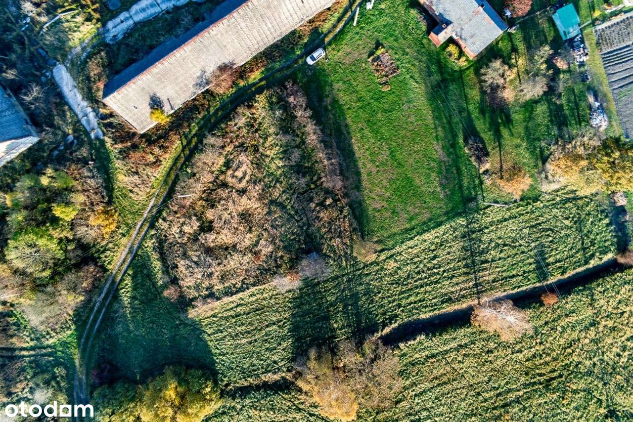Działka z Domem - Białowice ok 4000 m2-9