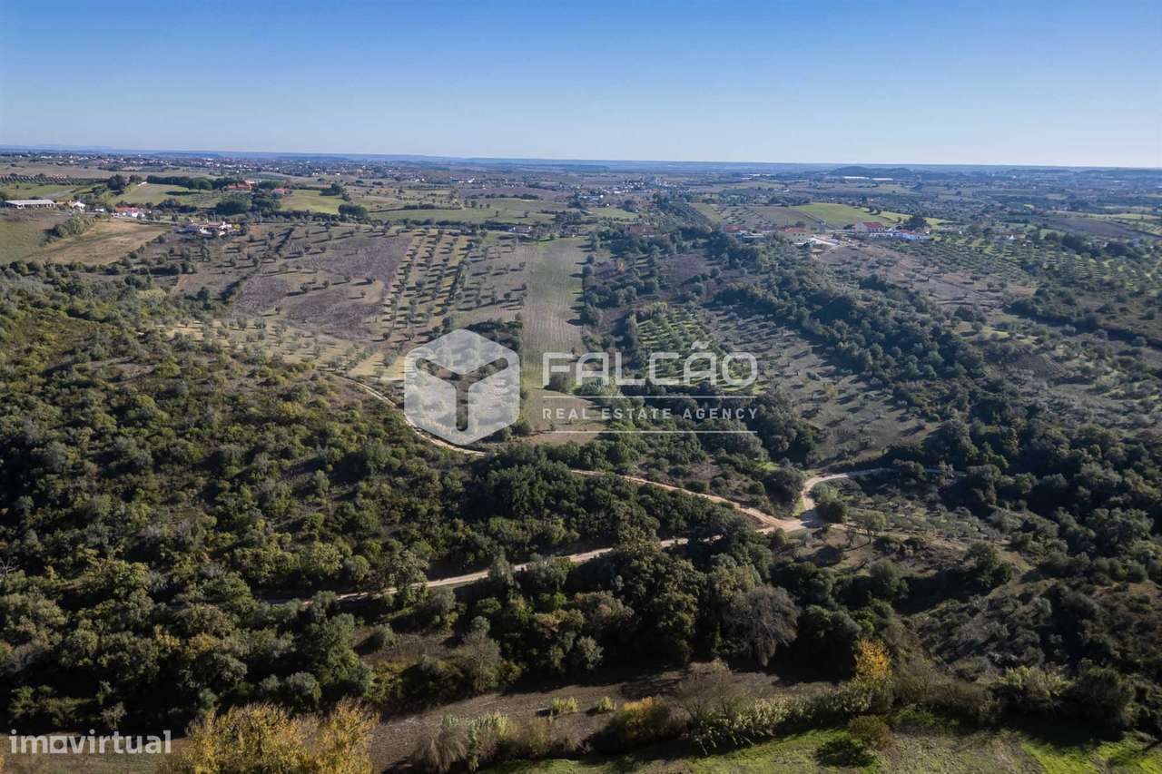 Terreno Para Construção  Venda em Moçarria,Santarém-21