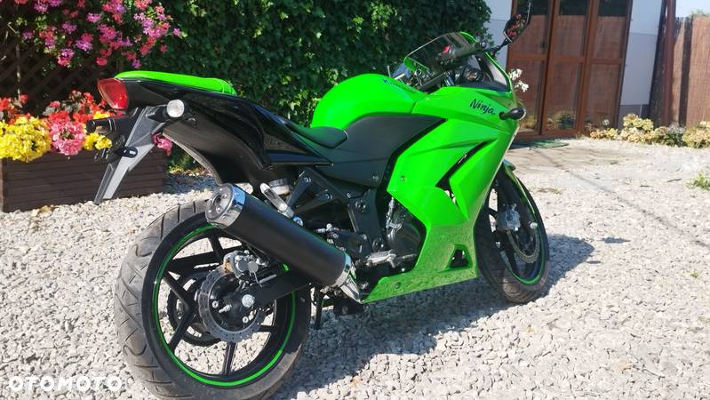 Kawasaki Ninja 250R - 7