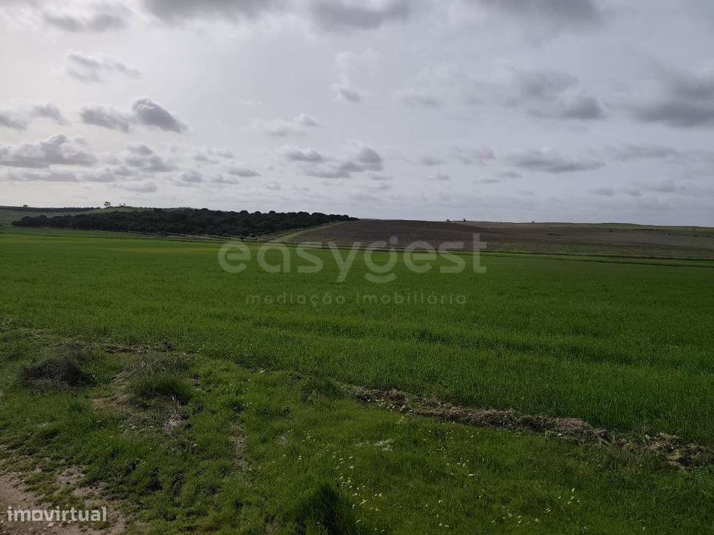 Terreno Rústico com área total de 93.875 m2, localizado na freguesi... - Grande imagem: 2/11