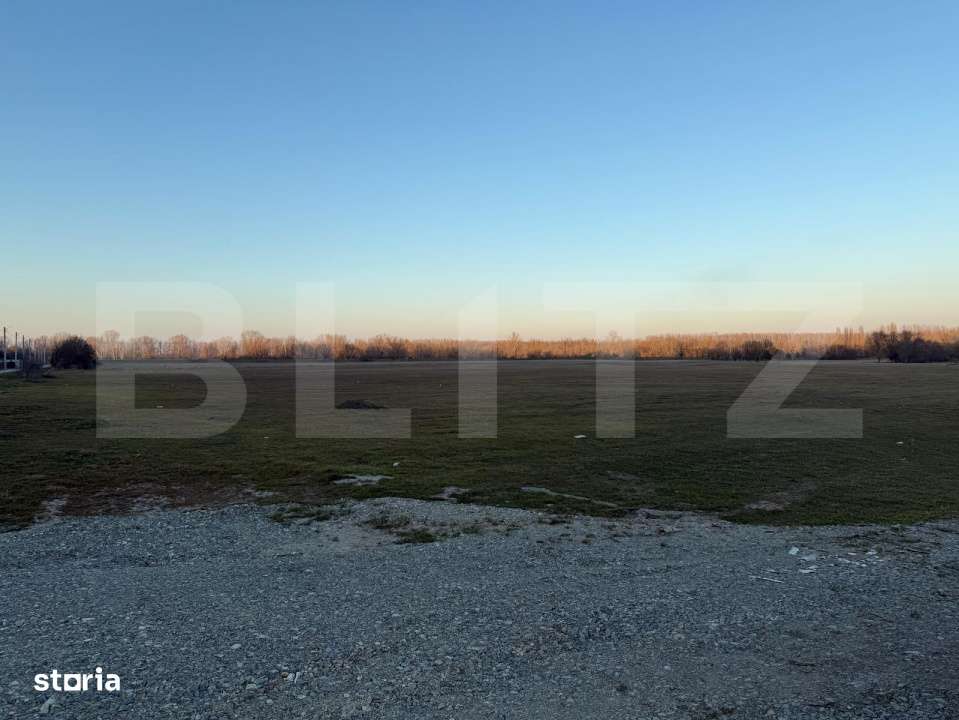 Teren intravilan industrial, 4307 mp, Podari - Imagine principală: 2/3