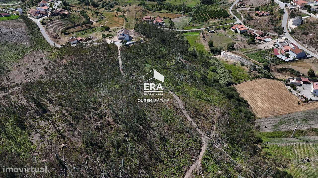 Terreno Florestal em Matas, Ourém-3